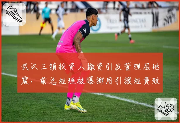 武汉三镇投资人撤资引发管理层地震，前总经理被曝挪用引援经费致球队崩盘
