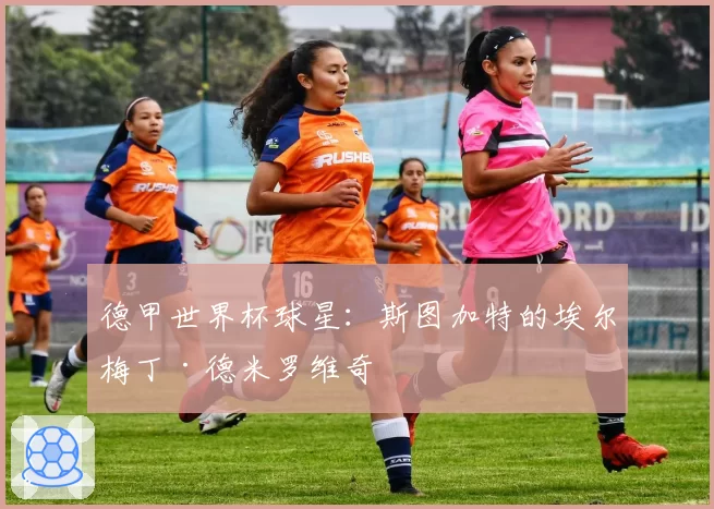 德甲世界杯球星:斯图加特的埃尔梅丁·德米罗维奇