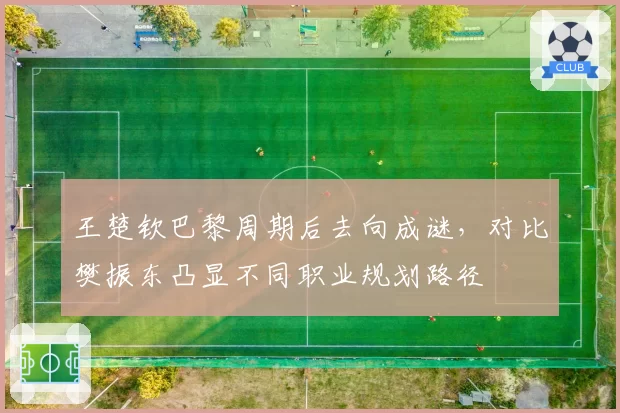 王楚钦巴黎周期后去向成谜,对比樊振东凸显不同职业规划路径