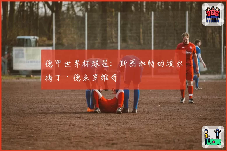 德甲世界杯球星:斯图加特的埃尔梅丁·德米罗维奇