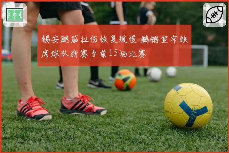 锡安腿筋拉伤恢复缓慢 鹈鹕宣布缺席球队新赛季前15场比赛
