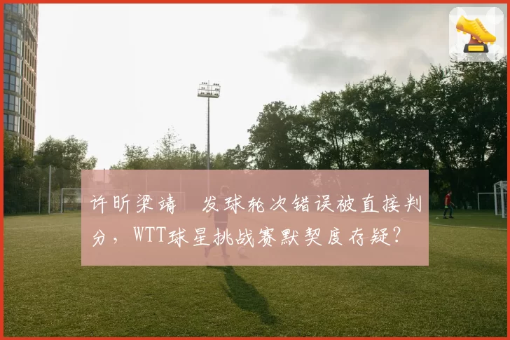 许昕梁靖崑发球轮次错误被直接判分,WTT球星挑战赛默契度存疑?